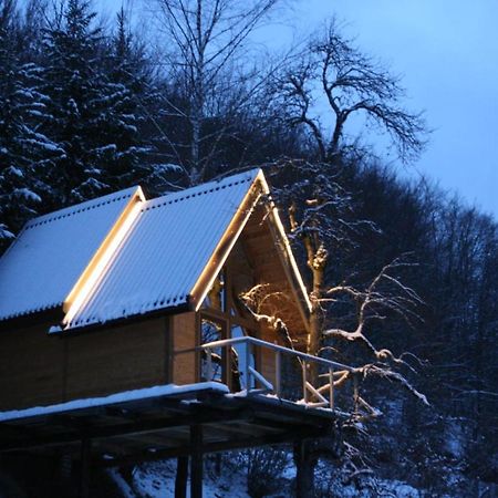 Tree House - Tara Place Mojkovac Kültér fotó