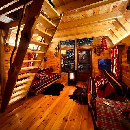 Tree House - Tara Place Mojkovac Kültér fotó