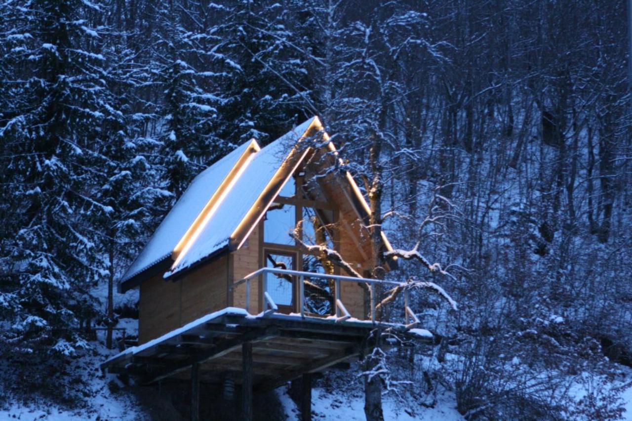 Tree House - Tara Place Mojkovac Kültér fotó