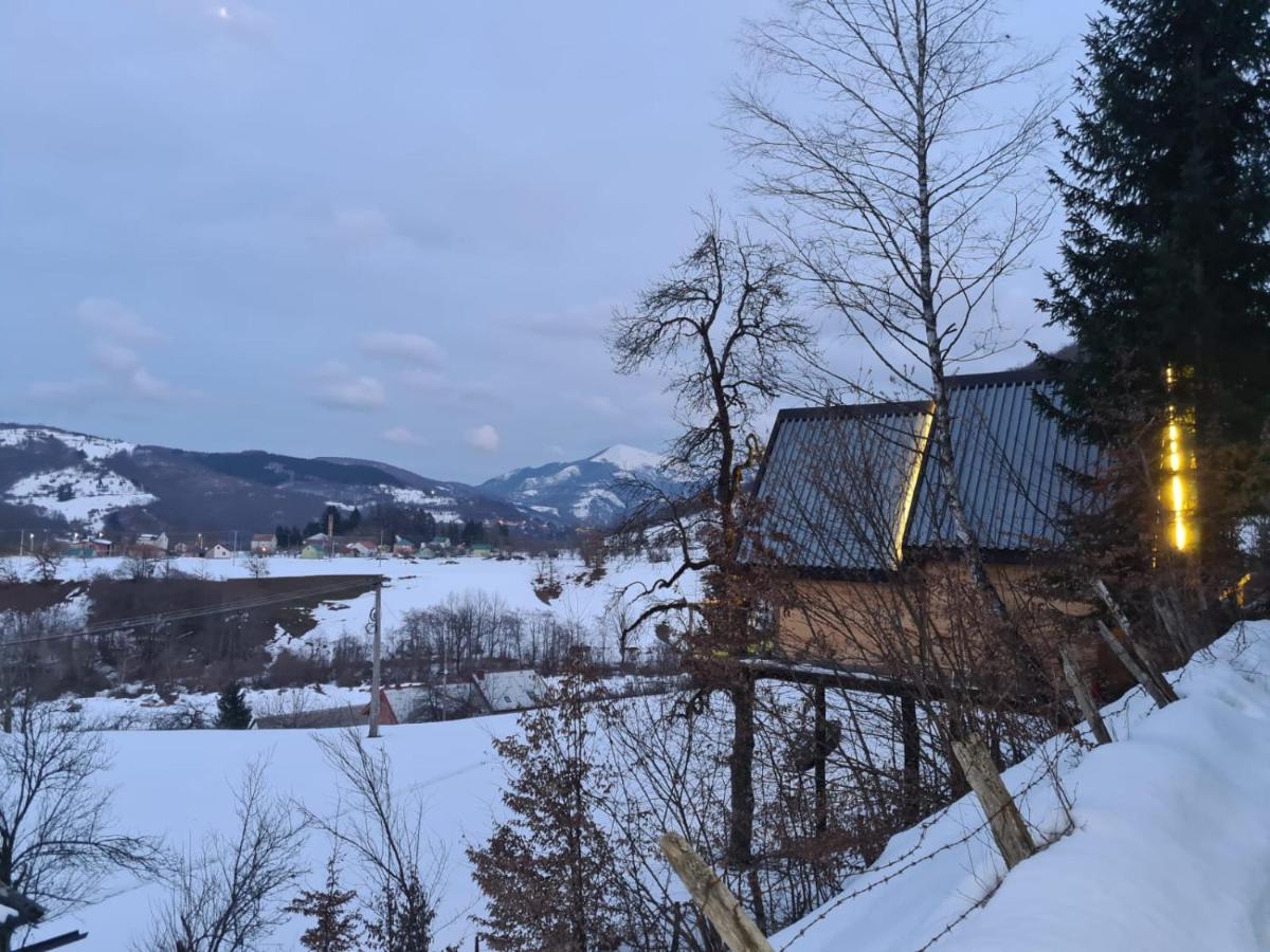 Tree House - Tara Place Mojkovac Kültér fotó