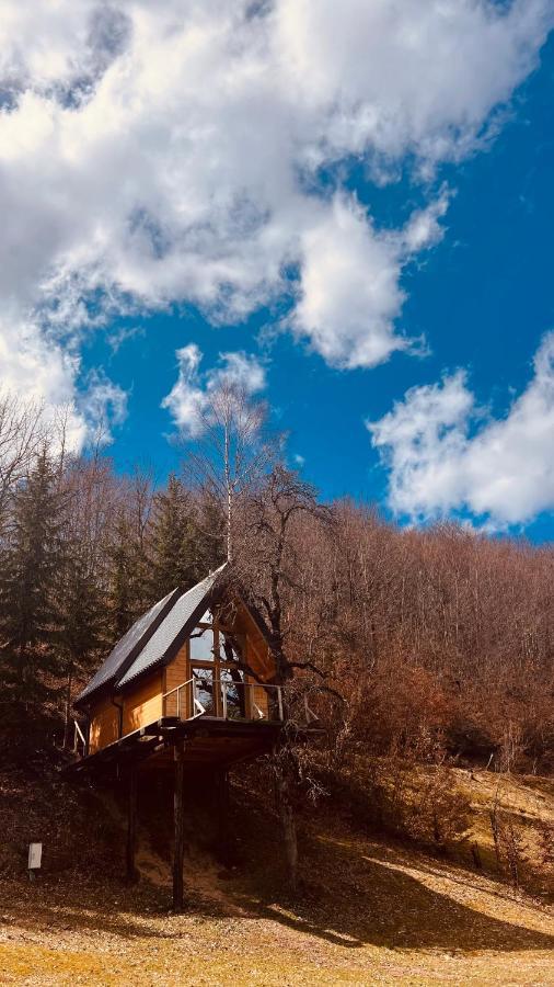 Tree House - Tara Place Mojkovac Kültér fotó