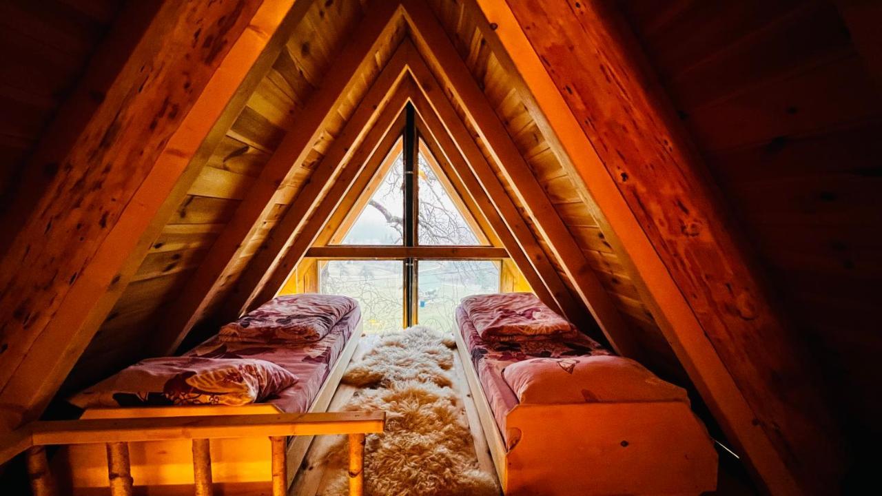 Tree House - Tara Place Mojkovac Kültér fotó