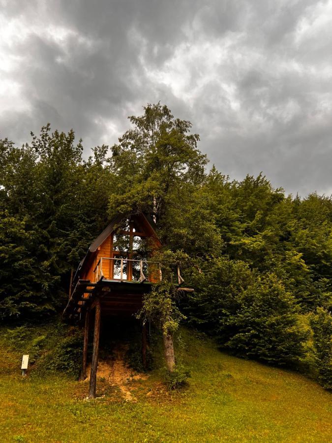 Tree House - Tara Place Mojkovac Kültér fotó