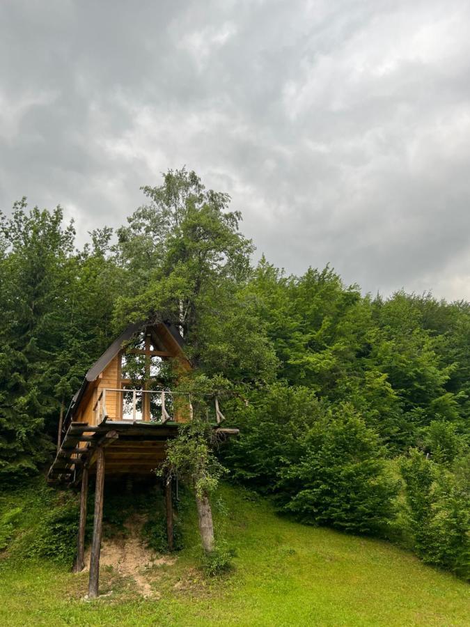 Tree House - Tara Place Mojkovac Kültér fotó