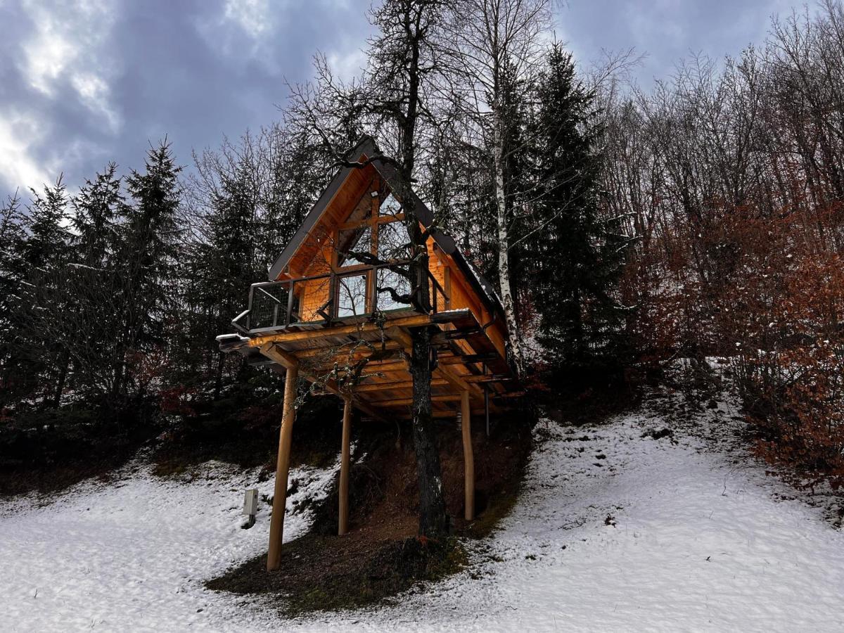 Tree House - Tara Place Mojkovac Kültér fotó