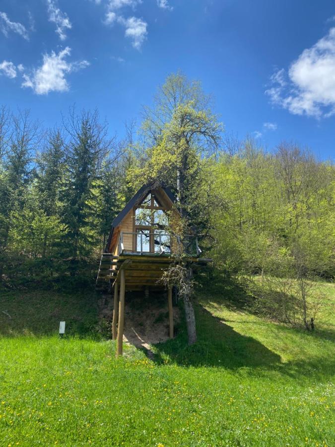 Tree House - Tara Place Mojkovac Kültér fotó